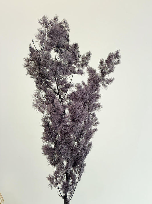 Purple Asparagus Stem – Dried Floral Arrangement
