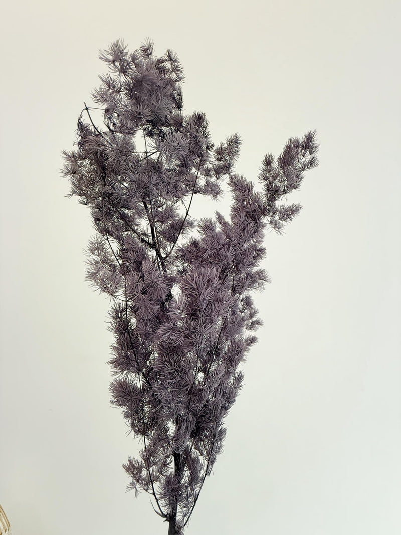 Purple Asparagus Stem – Dried Floral Arrangement