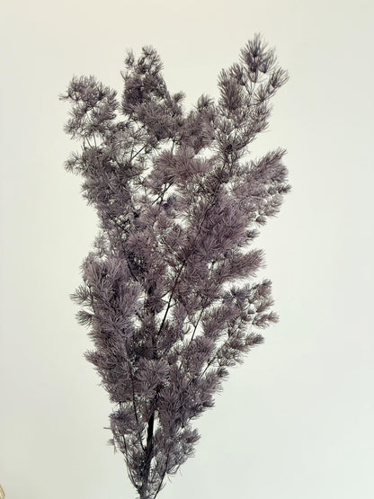 Purple Asparagus Stem – Dried Floral Arrangement