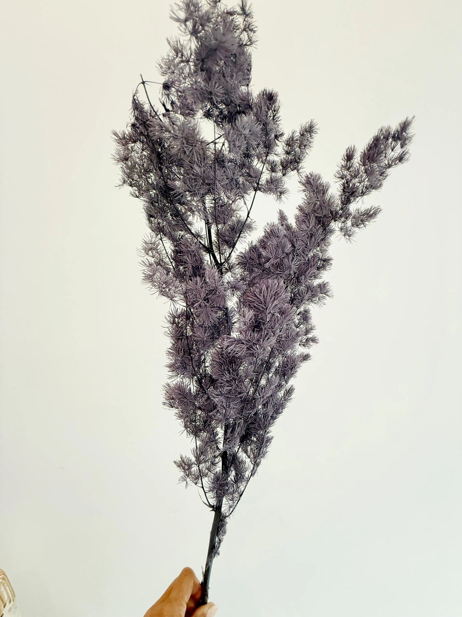 Purple Asparagus Stem – Dried Floral Arrangement
