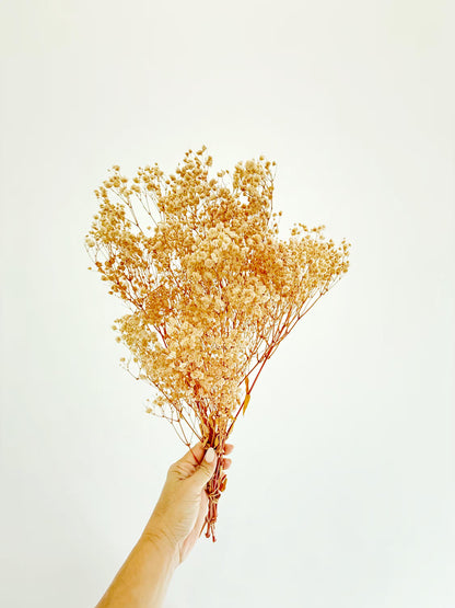 Gold Baby’s Breath – Dried Floral Arrangement