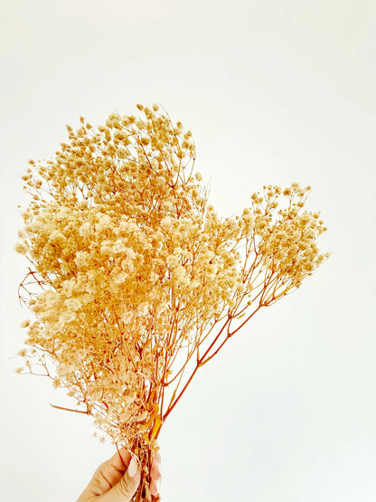 Gold Baby’s Breath – Dried Floral Arrangement