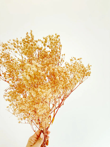 Gold Baby’s Breath – Dried Floral Arrangement