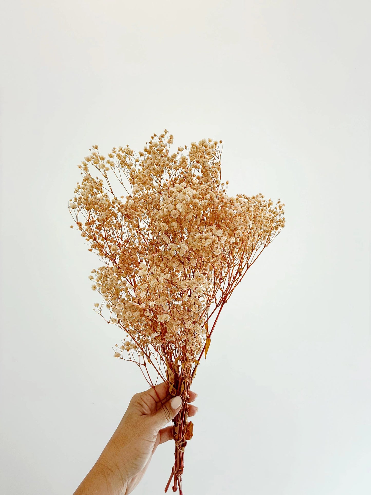 Pink Baby’s Breath – Dried Floral Arrangement