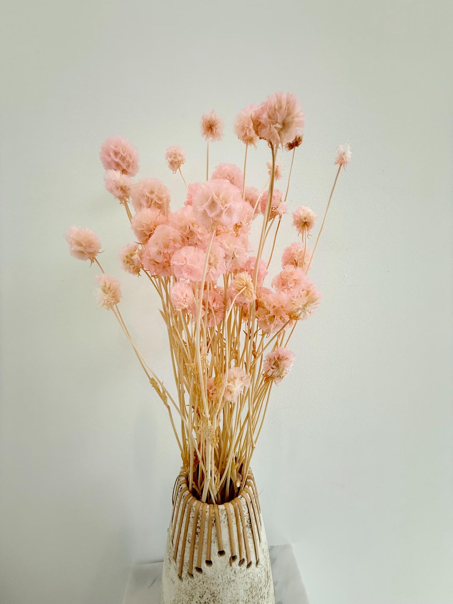 Pink Scabiosa Stellata – Dried Flower Arrangement