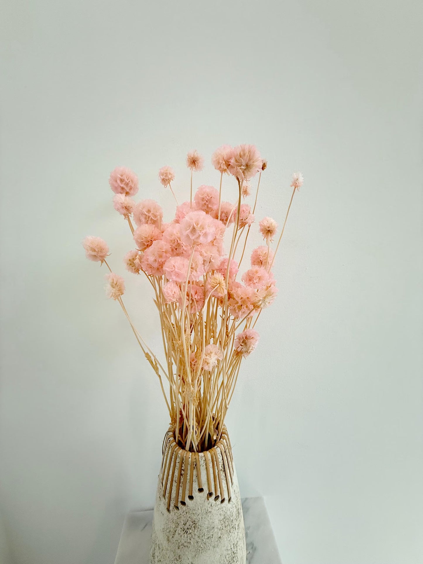 Pink Scabiosa Stellata – Dried Flower Arrangement