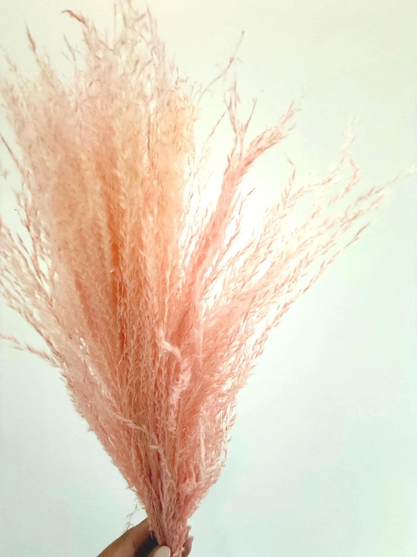 Preserved Pink Bouquet – Dried Floral Arrangement