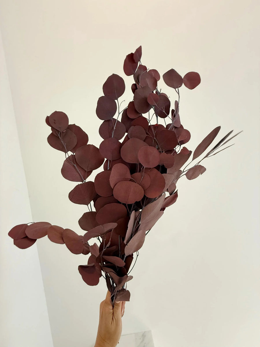 Burgundy Eucalyptus Stem – Dried Floral Arrangement