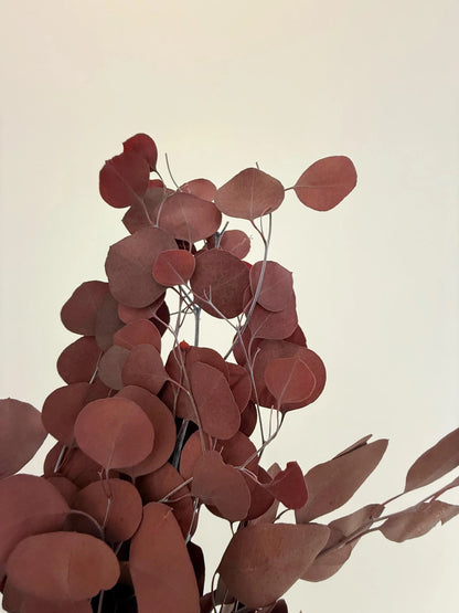 Burgundy Eucalyptus Stem – Dried Floral Arrangement