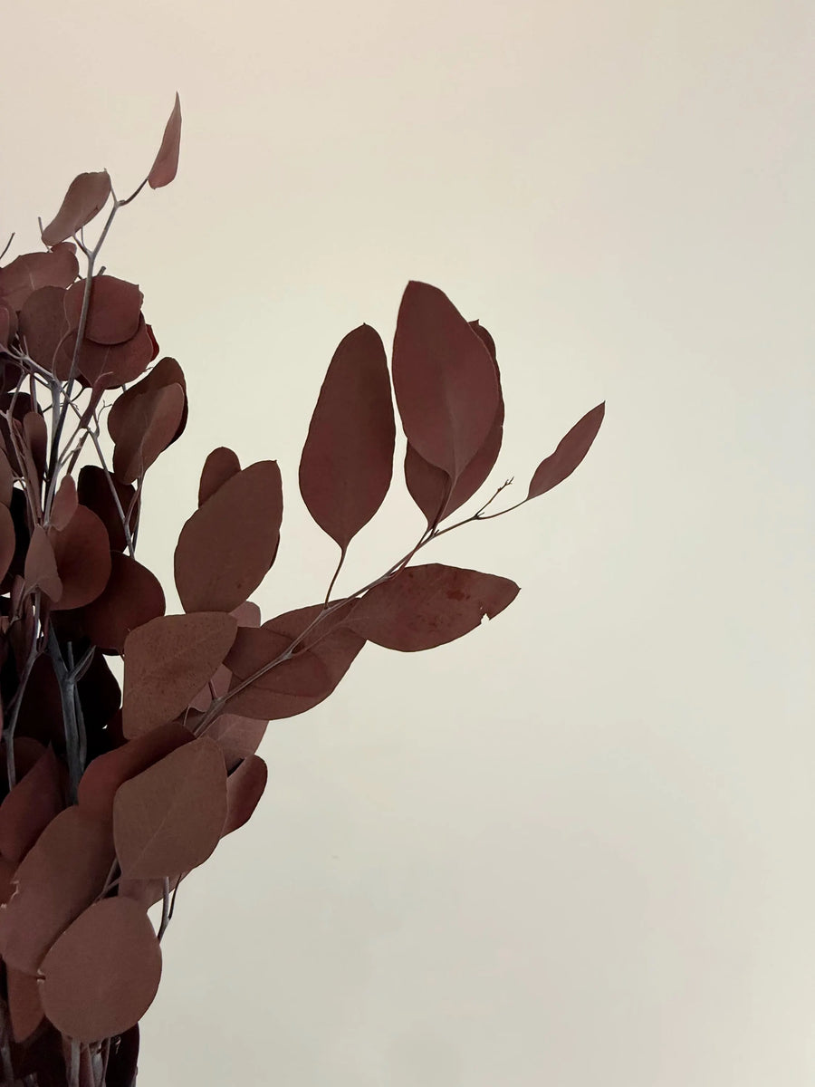 Burgundy Eucalyptus Stem – Dried Floral Arrangement