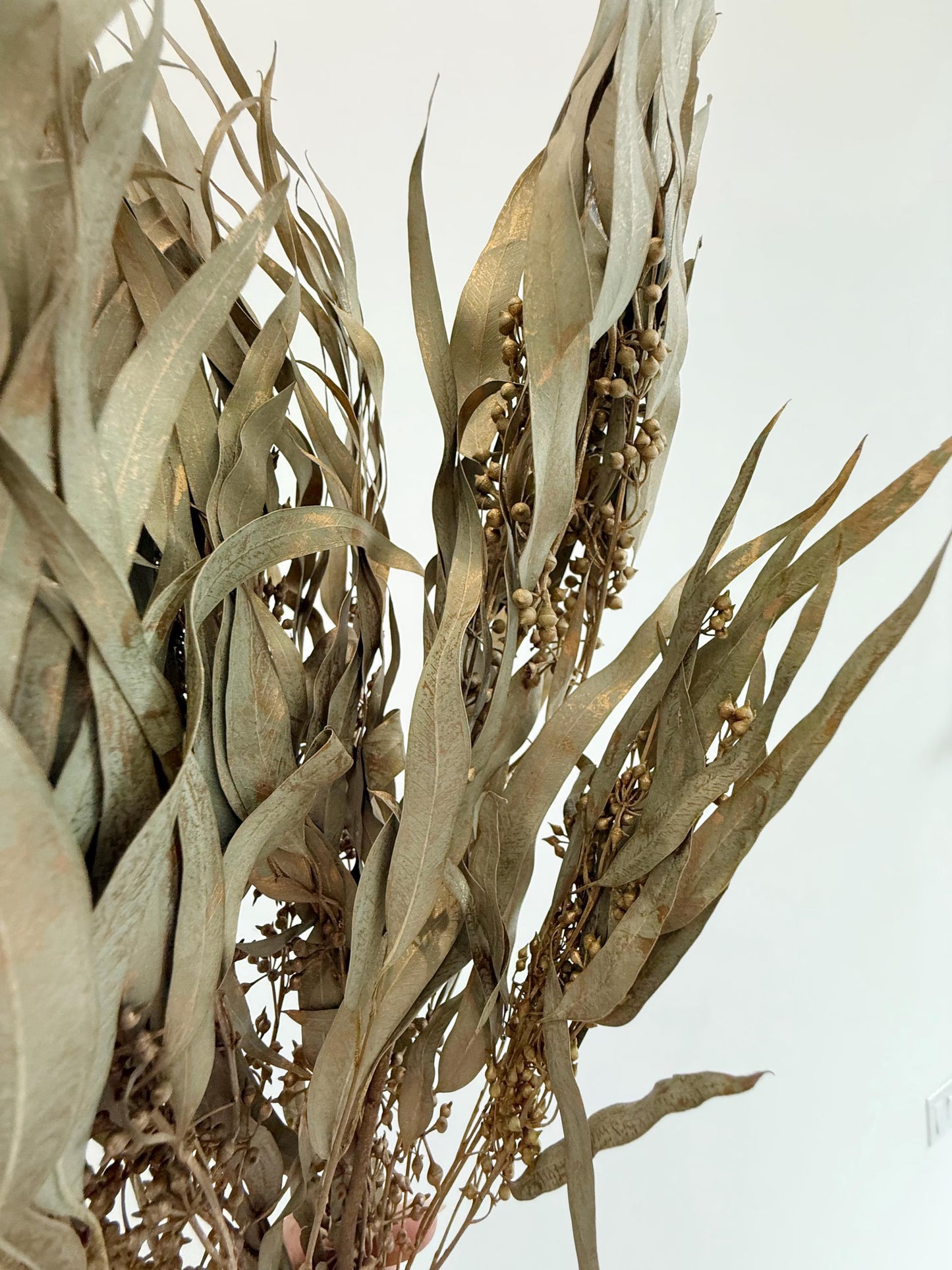Gold Eucalyptus Stem - Dried Floral Arrangement