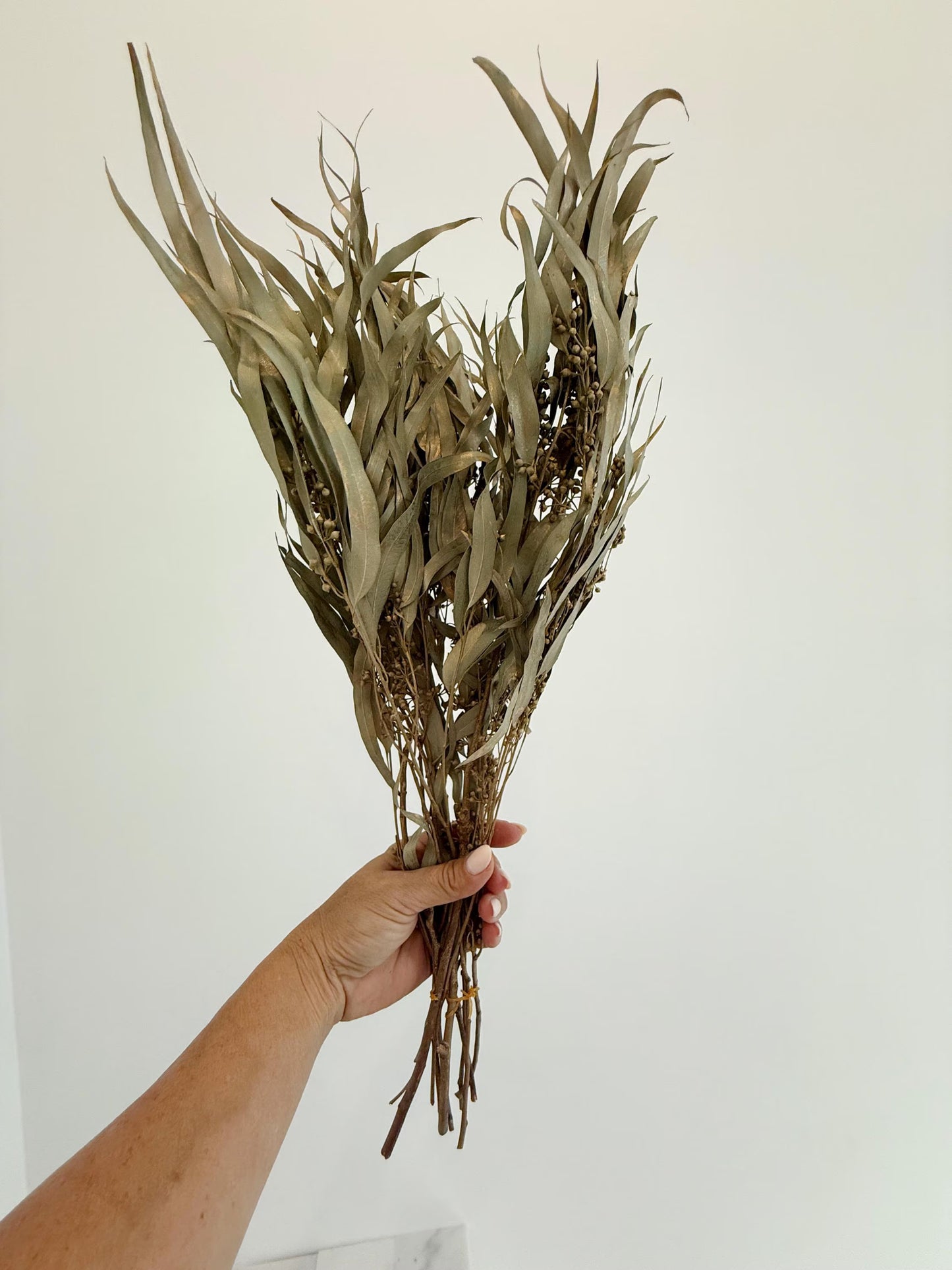 Gold Eucalyptus Stem - Dried Floral Arrangement