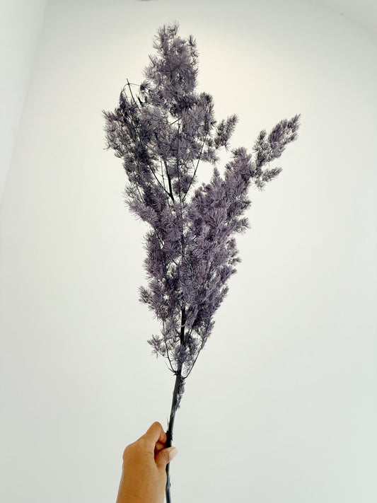 Purple Asparagus Stem – Dried Floral Arrangement