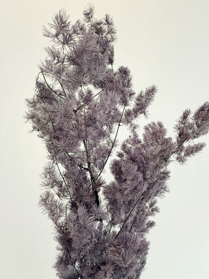Purple Asparagus Stem – Dried Floral Arrangement