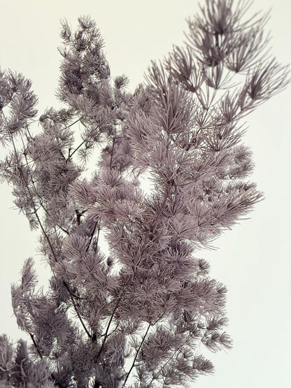 Purple Asparagus Stem – Dried Floral Arrangement