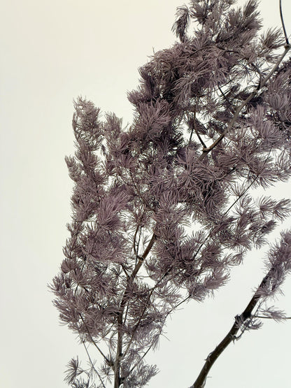 Purple Asparagus Stem – Dried Floral Arrangement