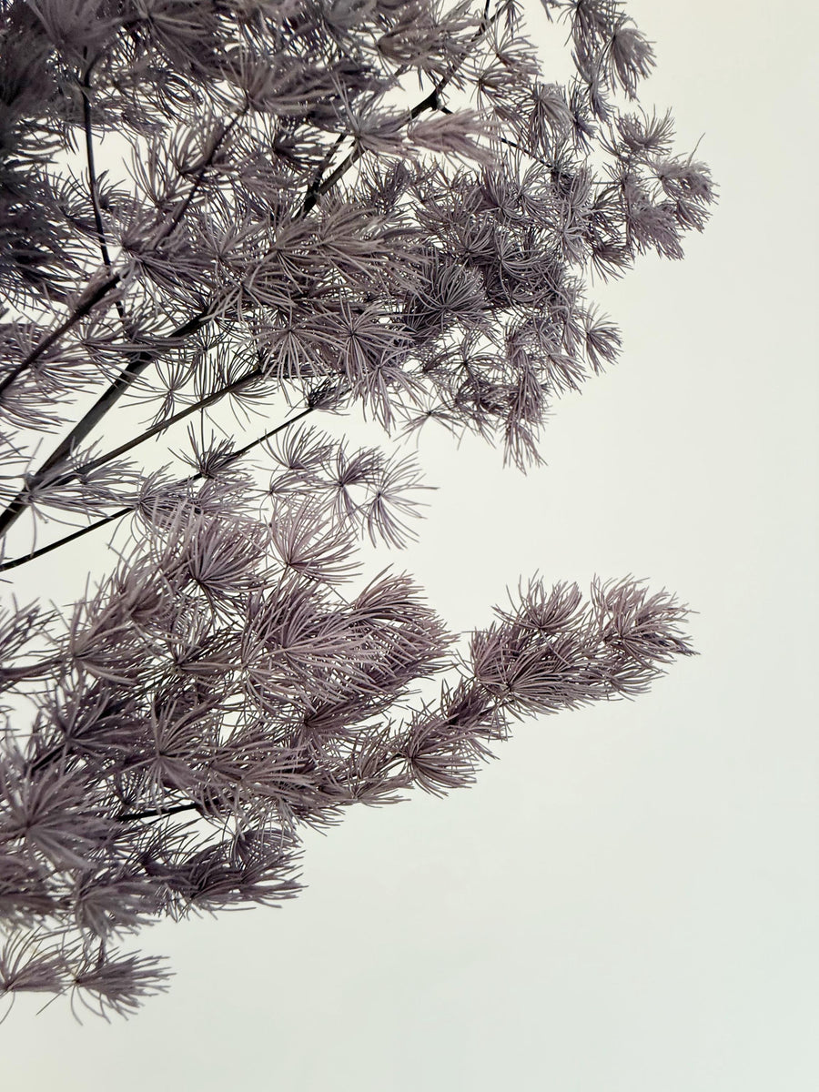 Purple Asparagus Stem – Dried Floral Arrangement