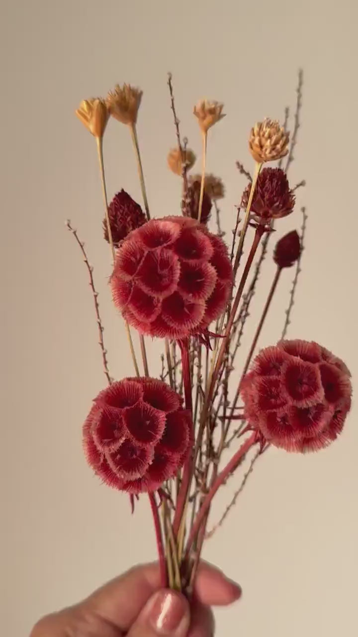Dried Flower Bouquet with Coral Scabiosa and Yellow Daisy – Floral Arrangement