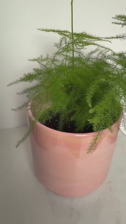 Modern Pink Ceramic Planter - Indoor Flower Pot for Home Decor and Gifts