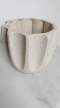 Neutral Fluted Pot - Beige Ceramic Planter