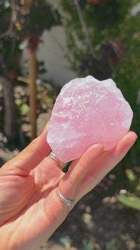 Crystal Energy Bundle – Modern Gemstone Decor Set with Brass Claw Stands