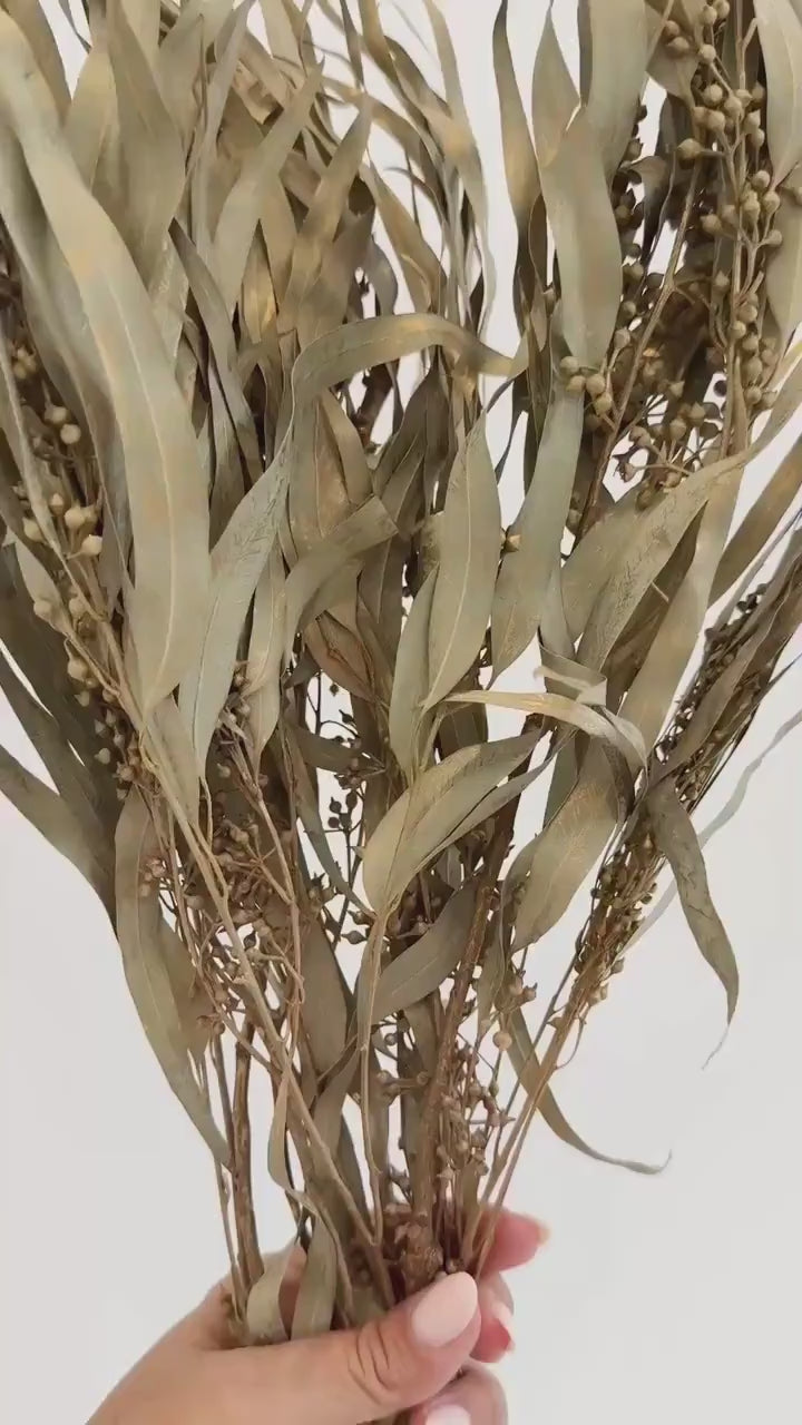 Gold Eucalyptus Stem - Dried Floral Arrangement