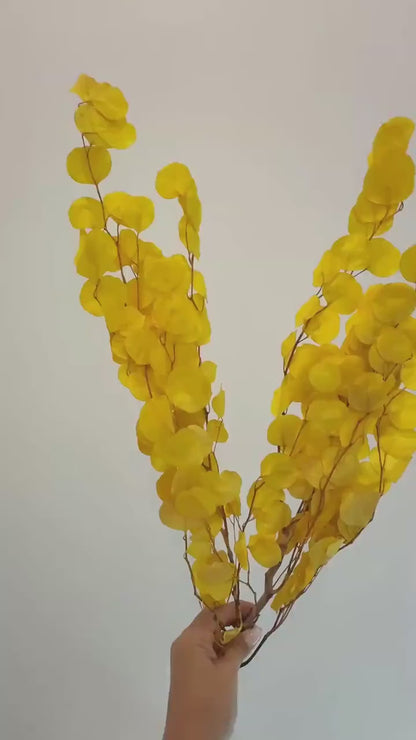 Yellow Eucalyptus Stem – Dried Floral Arrangement
