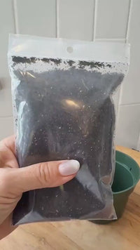 Starter Plant Repotting Kit – 4" Pot with Organic Soil