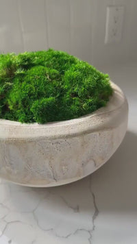Organic Wood Bowl - Rustic Centerpiece for Home Decor