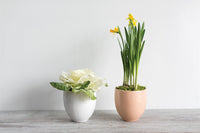 Evelyn Planter