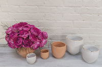 Evelyn Planter